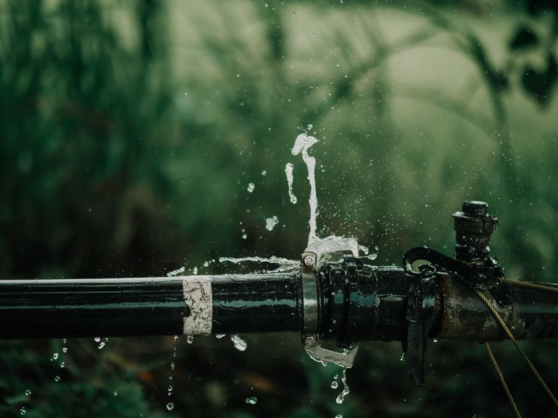 A leaking water pipe in a garden
